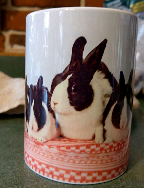 Midwest Bunfest
